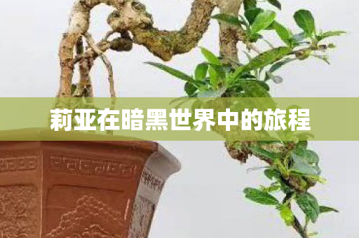 莉亚在暗黑世界中的旅程