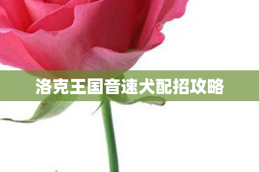 洛克王国音速犬配招攻略