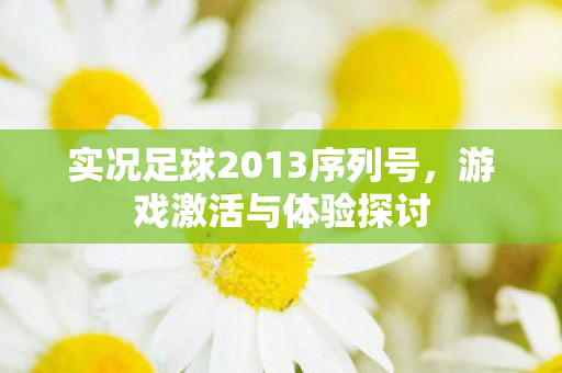 实况足球2013序列号，游戏激活与体验探讨