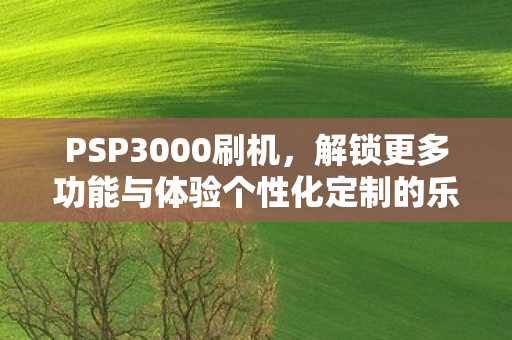 PSP3000刷机，解锁更多功能与体验个性化定制的乐趣