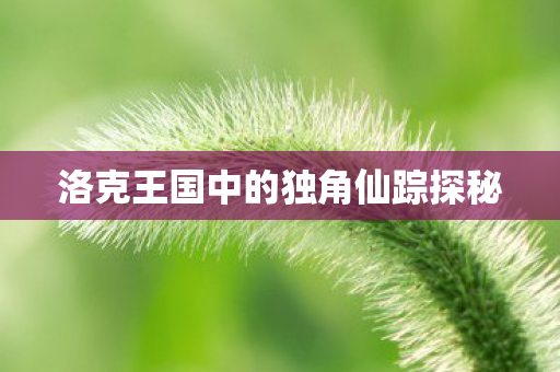 洛克王国中的独角仙踪探秘