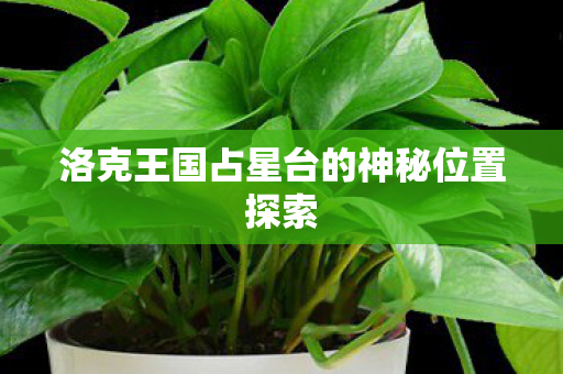 洛克王国占星台的神秘位置探索