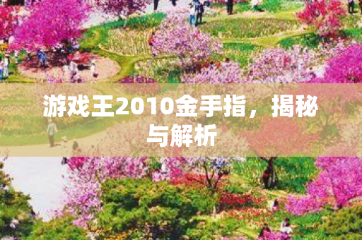 游戏王2010金手指，揭秘与解析