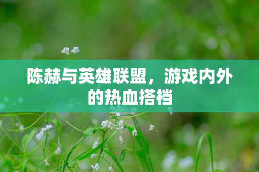 陈赫与英雄联盟，游戏内外的热血搭档