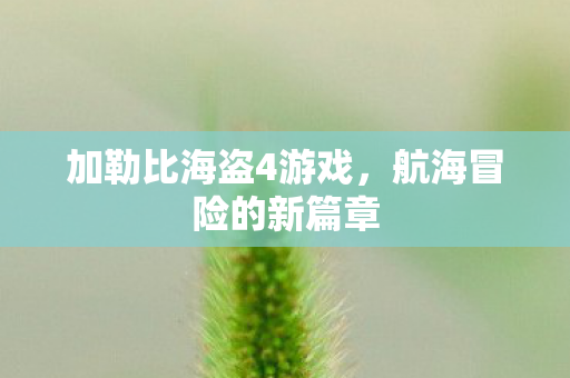 加勒比海盗4游戏，航海冒险的新篇章