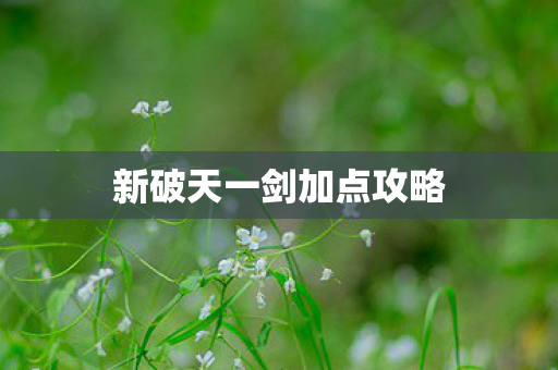 新破天一剑加点攻略