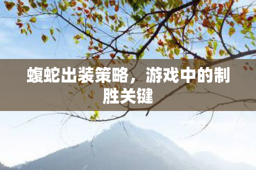 蝮蛇出装策略，游戏中的制胜关键