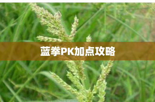 蓝拳PK加点攻略