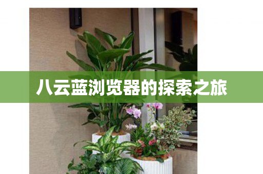 八云蓝浏览器的探索之旅