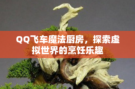 QQ飞车魔法厨房,探索虚拟世界的烹饪乐趣 QQ飞车魔法厨房,探索虚拟世界的烹饪乐趣