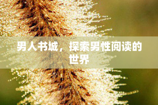 男人书城，探索男性阅读的世界