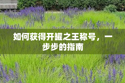 如何获得开罐之王称号，一步步的指南