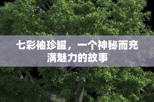 七彩袖珍罐，一个神秘而充满魅力的故事