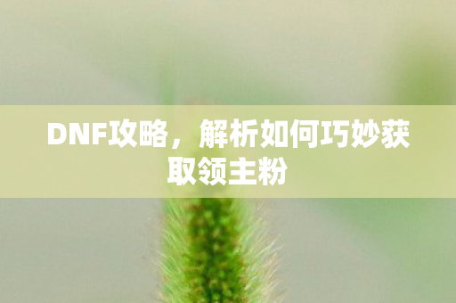 DNF攻略，解析如何巧妙获取领主粉