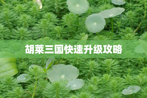 胡莱三国快速升级攻略