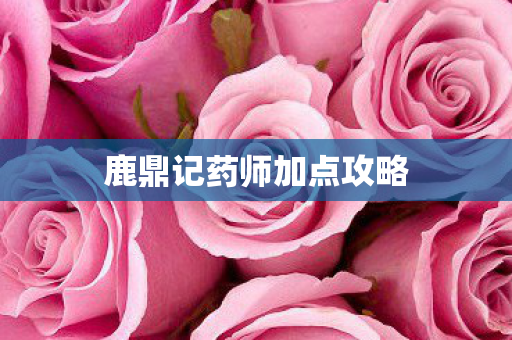 鹿鼎记药师加点攻略