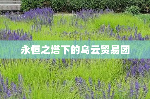 永恒之塔下的乌云贸易团