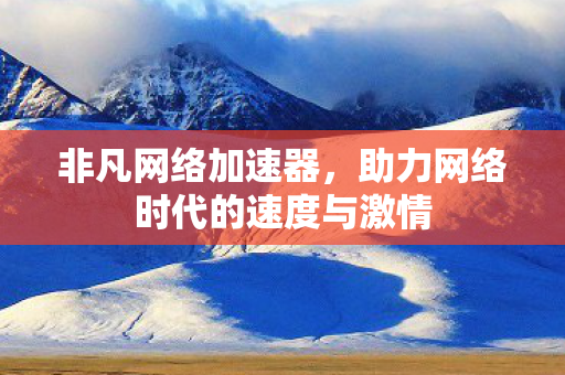 非凡网络加速器，助力网络时代的速度与激情