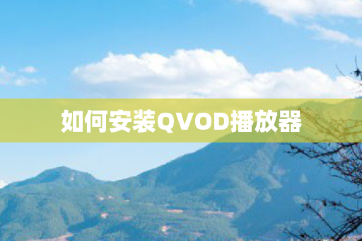 如何安装QVOD播放器