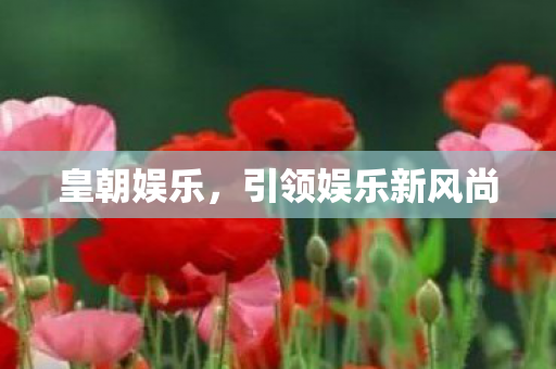 皇朝娱乐，引领娱乐新风尚