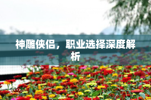神雕侠侣,职业选择深度解析 神雕侠侣,职业选择深度解析