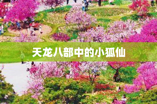 天龙八部中的小狐仙