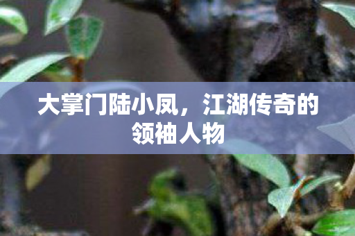 大掌门陆小凤，江湖传奇的领袖人物