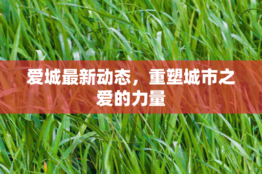 爱城最新动态，重塑城市之爱的力量