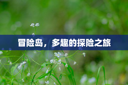 冒险岛，多趣的探险之旅