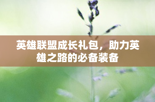 英雄联盟成长礼包，助力英雄之路的必备装备