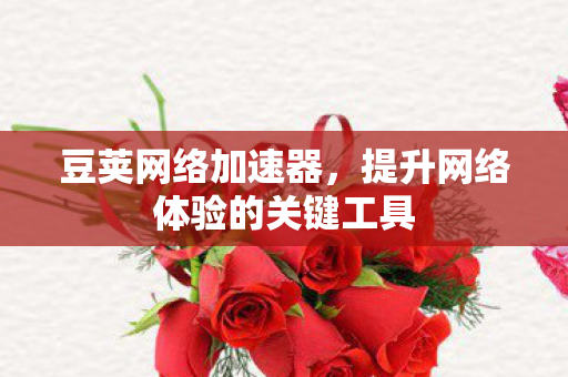 豆荚网络加速器，提升网络体验的关键工具