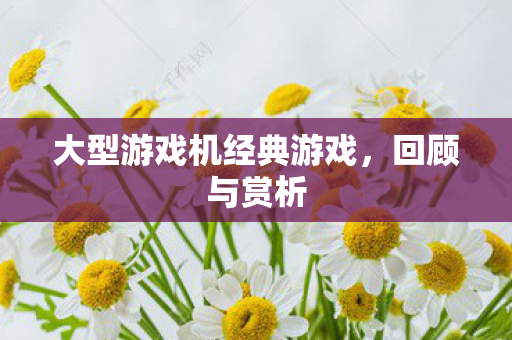 大型游戏机经典游戏，回顾与赏析