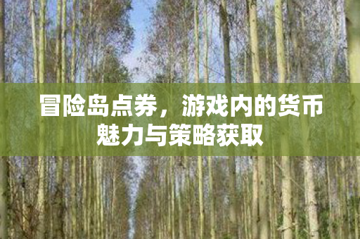 冒险岛点券，游戏内的货币魅力与策略获取