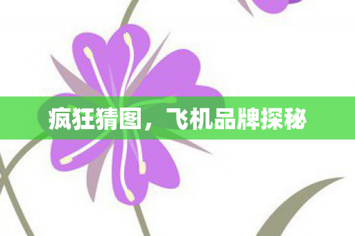 疯狂猜图，飞机品牌探秘