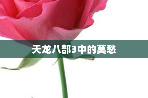 天龙八部3中的莫愁