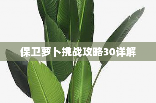 保卫萝卜挑战攻略30详解