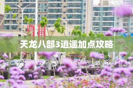 天龙八部3逍遥加点攻略