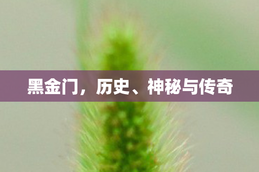 黑金门，历史、神秘与传奇