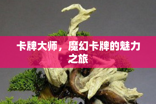 卡牌大师，魔幻卡牌的魅力之旅