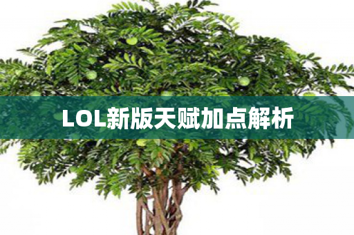 LOL新版天赋加点解析