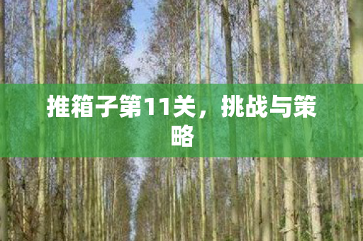 推箱子第11关，挑战与策略