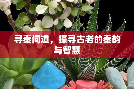 寻秦问道，探寻古老的秦韵与智慧