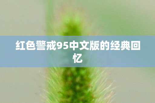 红色警戒95中文版的经典回忆