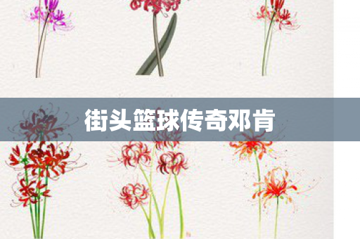 街头篮球传奇邓肯