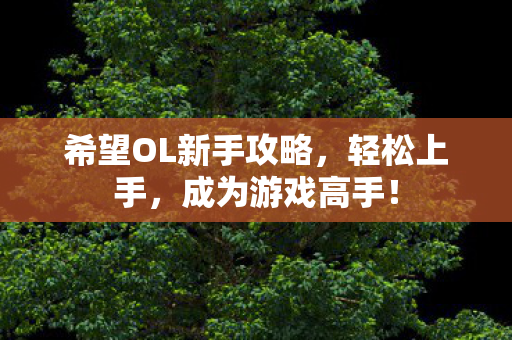 希望OL新手攻略，轻松上手，成为游戏高手！