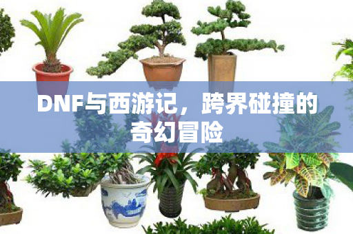 DNF与西游记，跨界碰撞的奇幻冒险