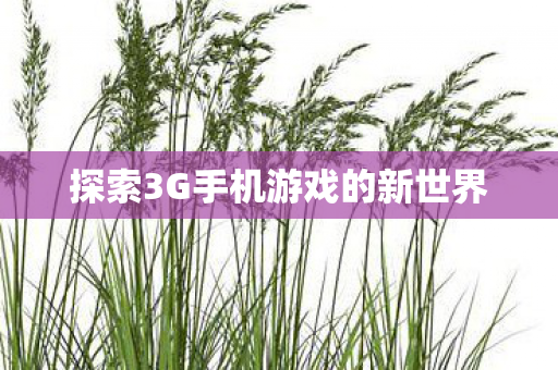 探索3G手机游戏的新世界