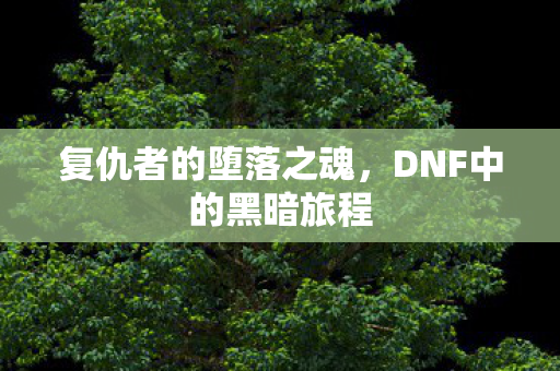 复仇者的堕落之魂，DNF中的黑暗旅程