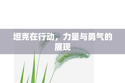 坦克在行动，力量与勇气的展现