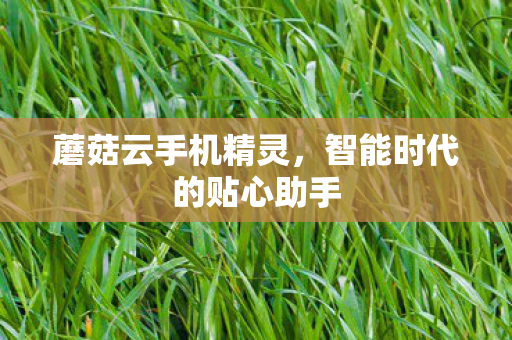 蘑菇云手机精灵，智能时代的贴心助手